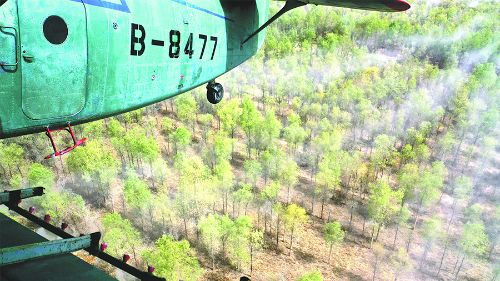4月14日，一架農(nóng)用飛機在第一師10團(tuán)防風(fēng)林帶上空噴灑殺蟲劑。自4月上旬以來，兵團(tuán)對葉爾羌河、塔里木河流域的第一師、第二師和第三師的35萬畝野生胡楊林和人工林實施飛防，有效控制食葉害蟲對野生胡楊林和人工林的危害。 王志清攝